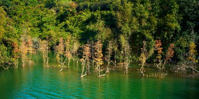 Zhongshan Parks 202601 #27