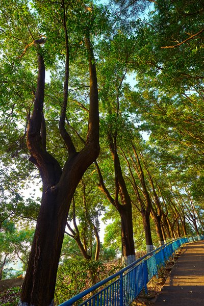 Parks in Zhongshan 202512 #37