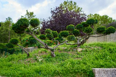 Jardin des plantes [Paris] Aug 2021 #38