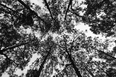 Zhongshan Parks 202603 #46