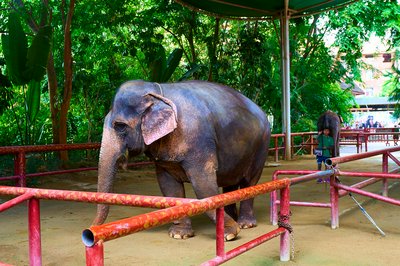 Xishuangbanna Manting Park 2025 #55