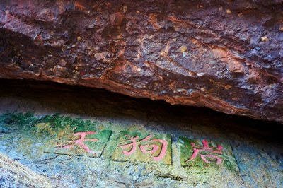 Zhongshan Parks 202602 #3