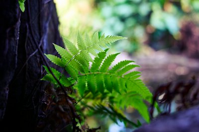 Zhongshan Parks 202601 #65