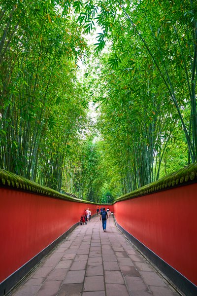 Chengdu Wuhouci 2025 #40