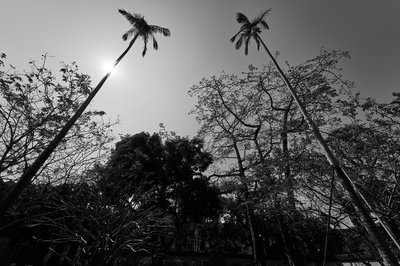 Zhongshan 202602 #28