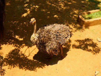 Kunming Zoo 2025 #45
