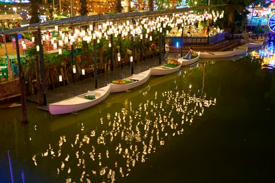 Xishuangbanna Gaozhuang 2025 #51
