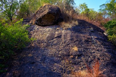 Zhongshan Parks 202602 #4