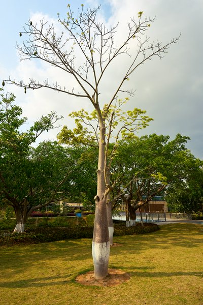 Zhongshan Parks 202603 #18