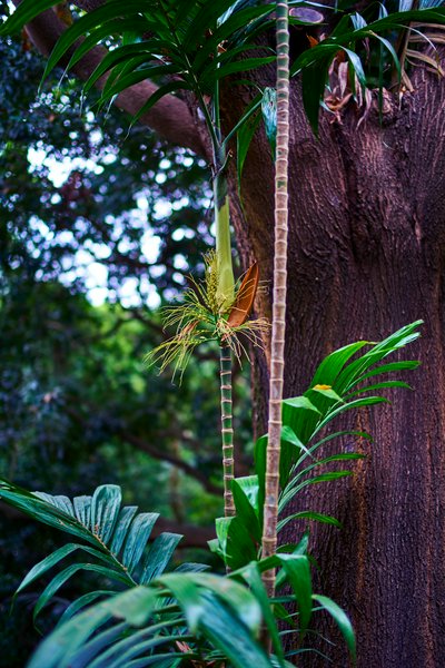 Zhongshan Parks 202601 #4