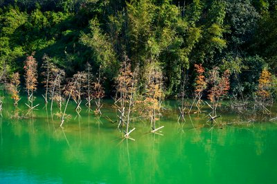 Zhongshan Parks 202601 #43