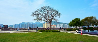 Macau 202603 #21