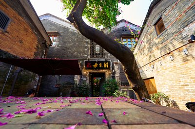 Cover for post Foshan 202512