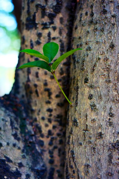 Zhongshan Parks 202602 #12