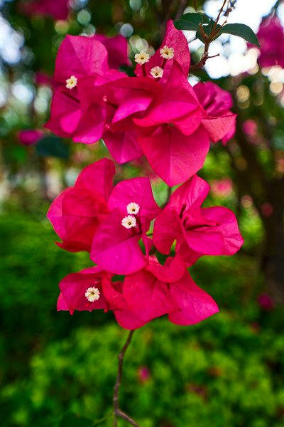 Zhongshan Parks 202603 #43