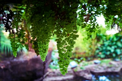 Parks in Zhongshan 202512 #36