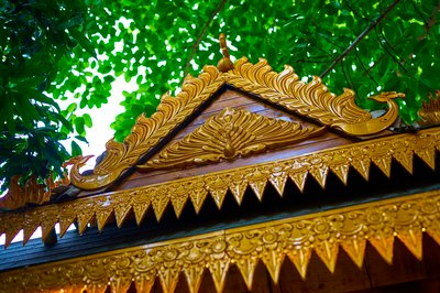 Xishuangbanna Gaozhuang 2025 #30