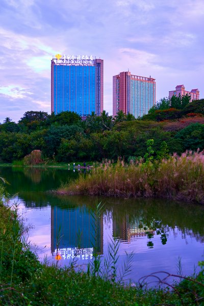 Xishuangbanna Misc 2025 #22