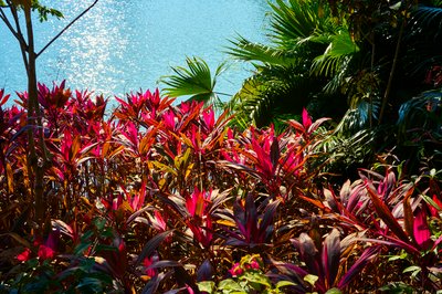 Zhongshan Parks 202602 #17