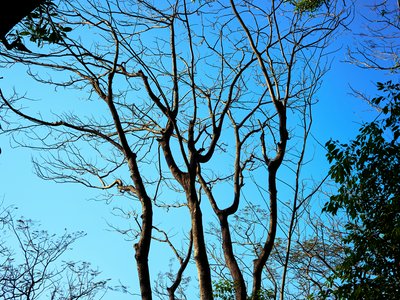 Zhongshan Parks 202603 #11