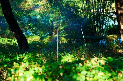 Zhongshan Parks 202601 #41