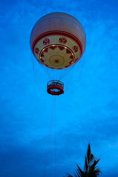 Xishuangbanna Gaozhuang 2025 #42