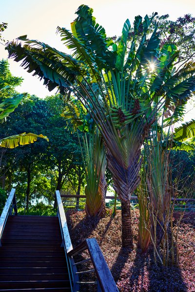 Zhongshan Parks 202601 #22