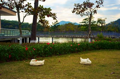 Parks in Zhongshan 202512 #59