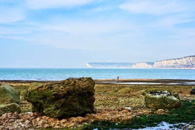 Yport (Pebble Beach, Cliff), Normandy Spring 201904 #20