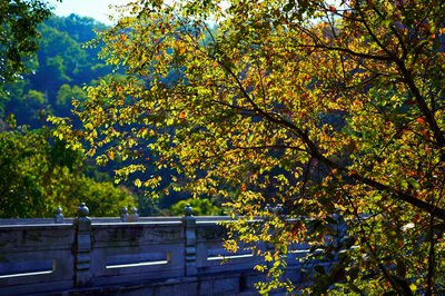 Zhongshan Parks 202601 #45