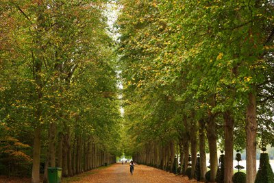 Photo from gallery Versailles (Birds, Fallen Leaves, Park) 201810 taken on 2018:10:15 17:23:00 at Versailles by DrJLT