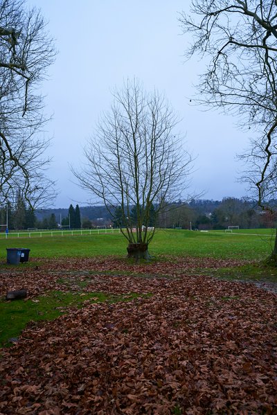Photo from gallery HEC Paris [Dec 2021] taken on 2021-12-12 17:00:35 at Yvelines by DrJLT