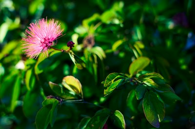 Zhongshan Parks 202601 #9