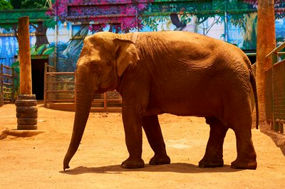 Kunming Zoo 2025 #44
