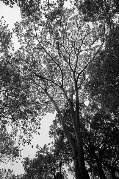 Zhongshan Parks 202603 #50