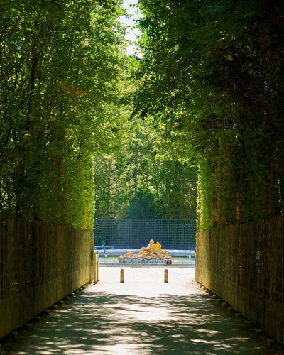Versailles Park 2020 Summer #2