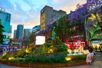 Kunming Misc 2025 #47