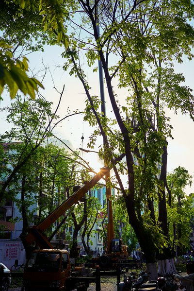 Zhongshan 202603 #59