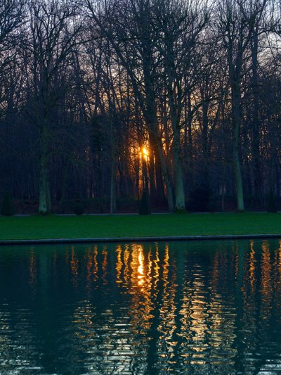 Versailles (Swan, Trees, Park) 201912 #8