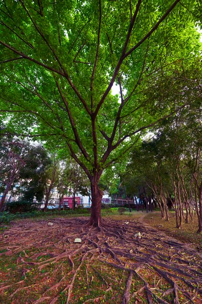 Zhongshan 202603 #121