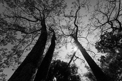 Zhongshan 202602 #26