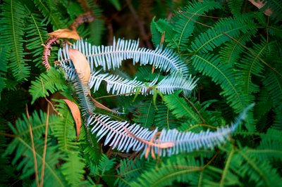 Parks in Zhongshan 202512 #3