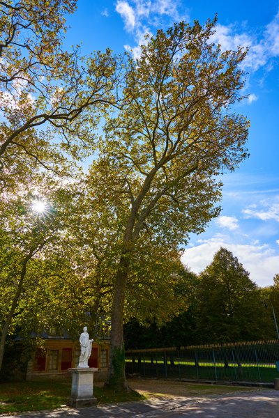 Park of Versailles, Autumn 2020 #11