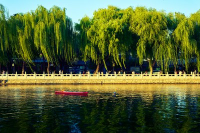 Beijing 202509 #23