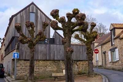 Photo from gallery Rochefort-en-Yvelines 201902 taken on 2019:02:07 16:02:02 at Yvelines by DrJLT