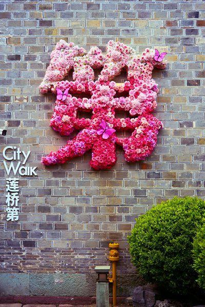Ningbo 2026 #16