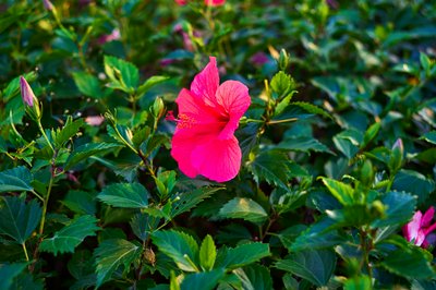 Parks in Zhongshan 202512 #47