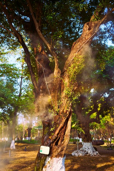 Zhongshan 202602 #66