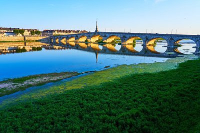Blois (Loire, Chateau Royal), Summer 201908 #39