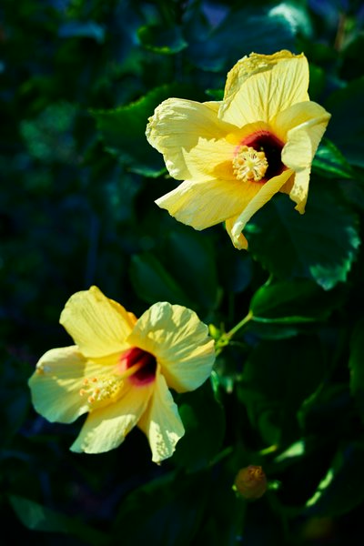 Zhongshan Parks 202601 #10